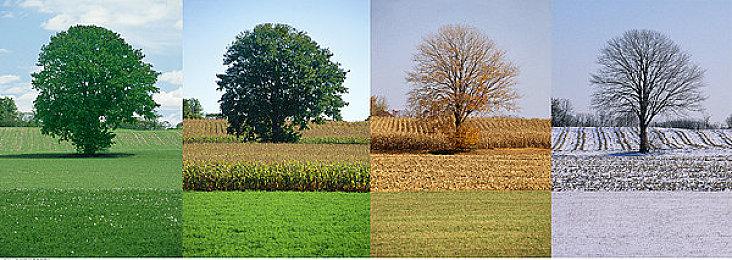 国际象棋类策略棋牌游戏《纵横棋境》现已推出试玩Demo